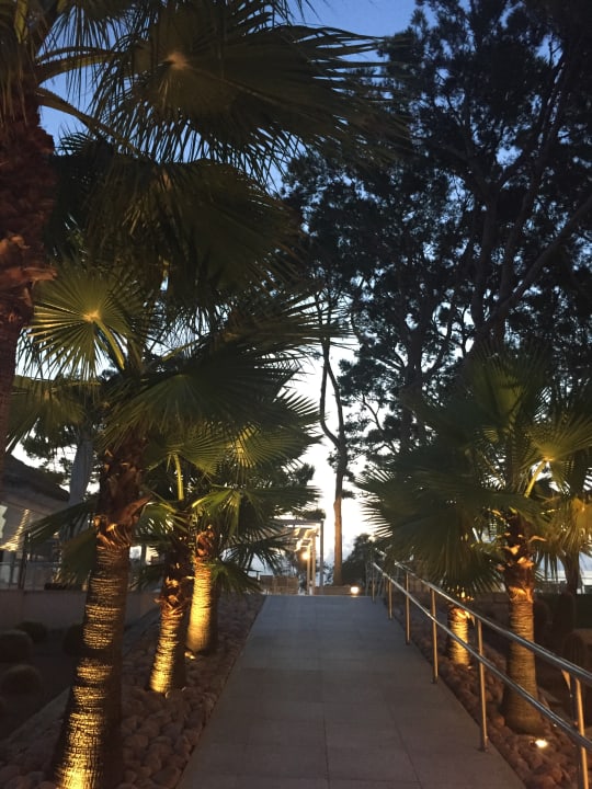 Garten Iberostar Waves Playa de Muro