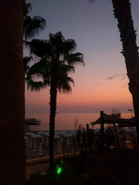 Ausblick Arum Barut Collection