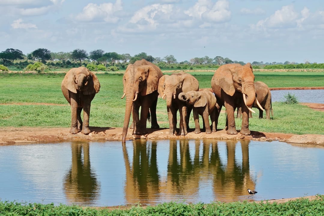 Sonstiges Voi Wildlife Lodge