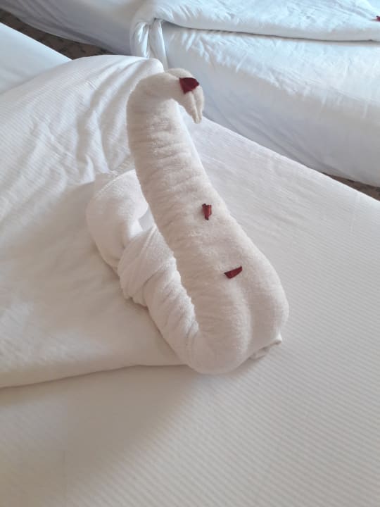 Schön dekorierte Zimmer Pickalbatros Alf Leila Wa Leila Resort - Neverland Hurghada