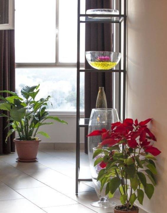 Vetrata open space B&B Ma&Mi For You