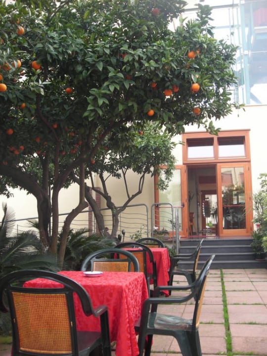 Innenhof mit Orangenbäumen Hotel Diana Pompei