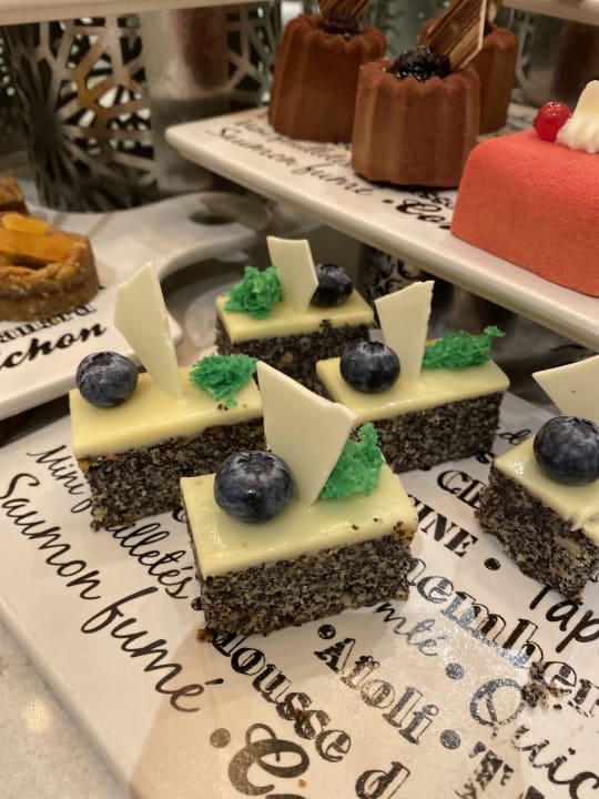 Gastro Acanthus Cennet Barut Collection