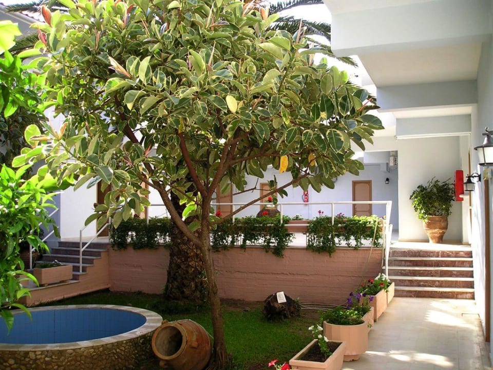 Hotel Acharavi Beach - Innenhof Acharavi Beach Hotel