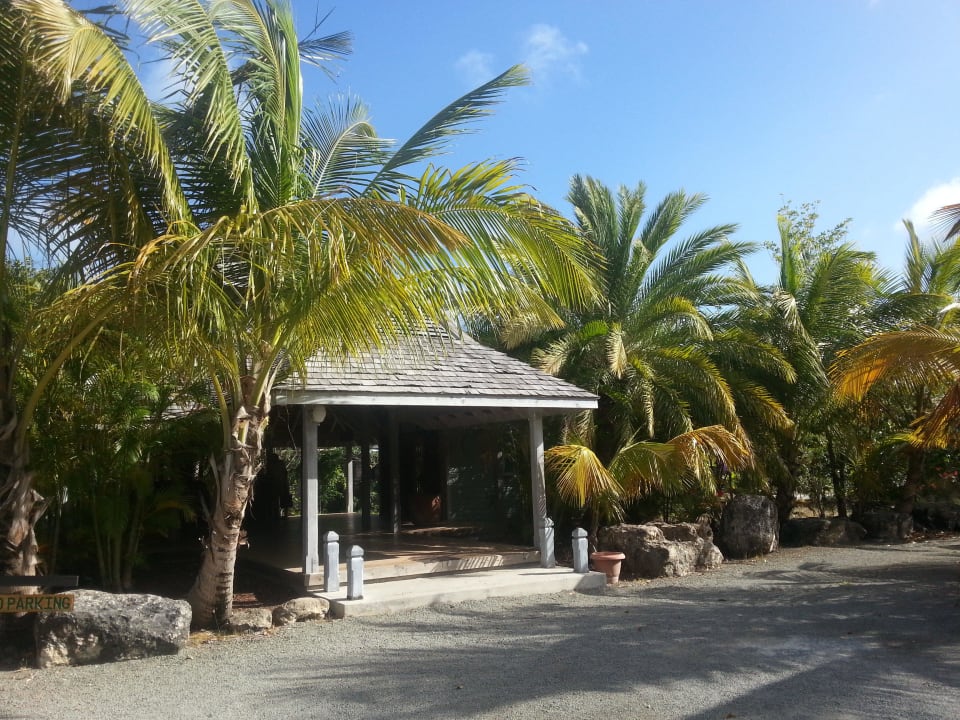 Eingang Hotel Coconut Beach Club