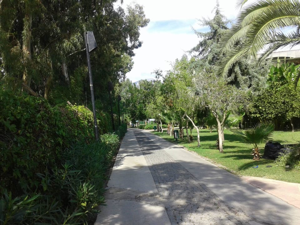 Есть поле для большого тениса Limak Limra Hotel & Resort