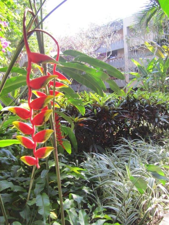 Gartenimpression Hyatt Regency Bali