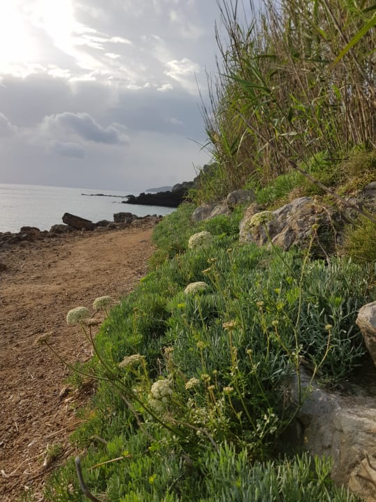 Strand Invisa Figueral Resort Cala Blanca