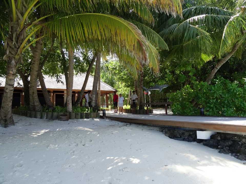 Lobby Vilamendhoo Island Resort & Spa