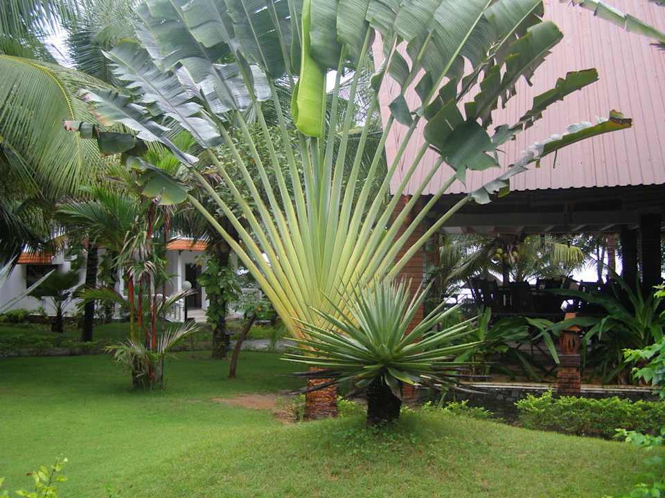 Bon Bien Resort Hotel Bon Bien Resort