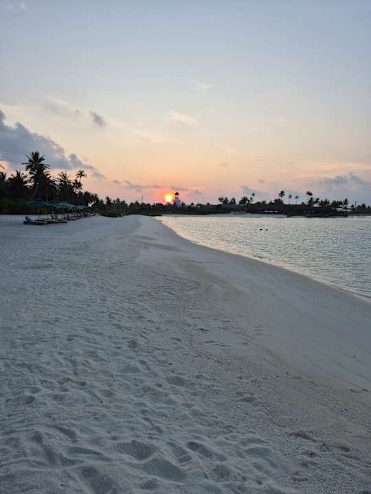 Strand SAii Lagoon Maldives, Curio Collection by Hilton