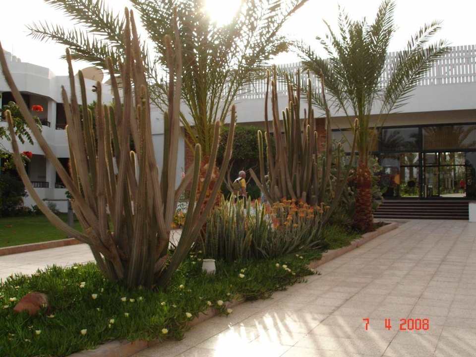 Die Hotelanlage Ghazala Beach