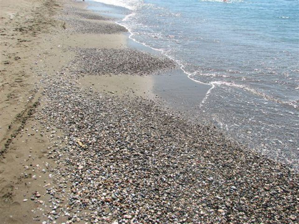 Kamienie na plaży TUI BLUE Tropical