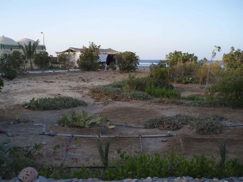 Ohne Worte Sea Hug Resort