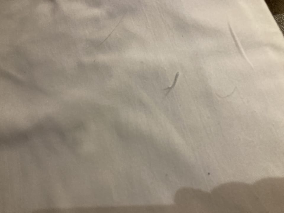 Zimmer Park Inn by Radisson Berlin Alexanderplatz