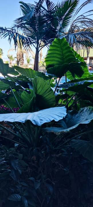 Außenansicht Dream Fun World