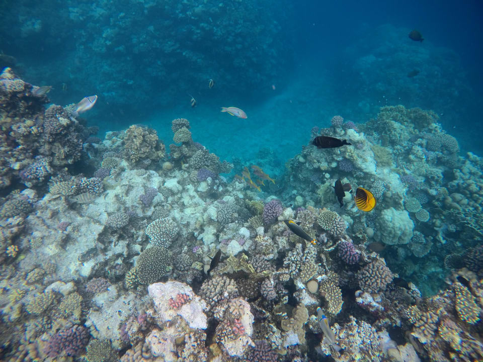 Strand Three Corners Sea Beach Resort