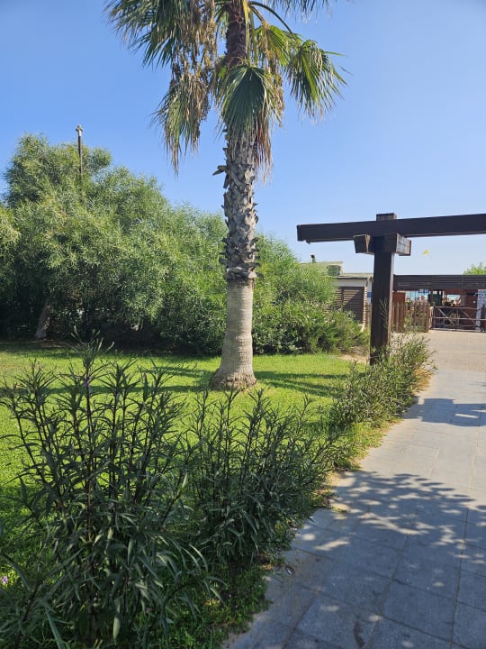 Außenansicht Sunis Evren Beach Resort Hotel & Spa