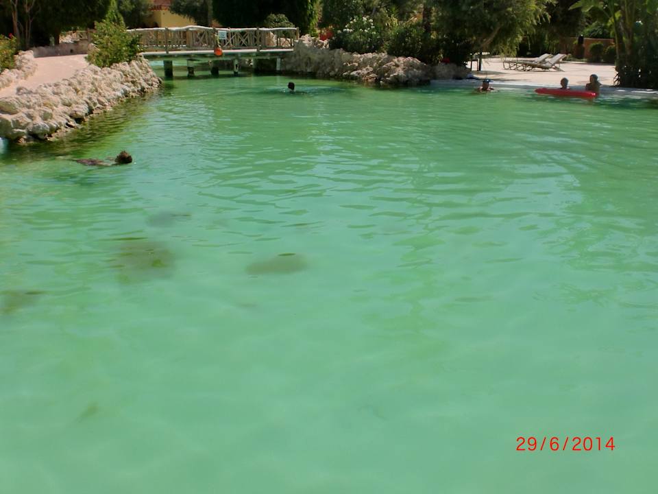 Grünes wasser das soll ein pool sein Grand Makadi