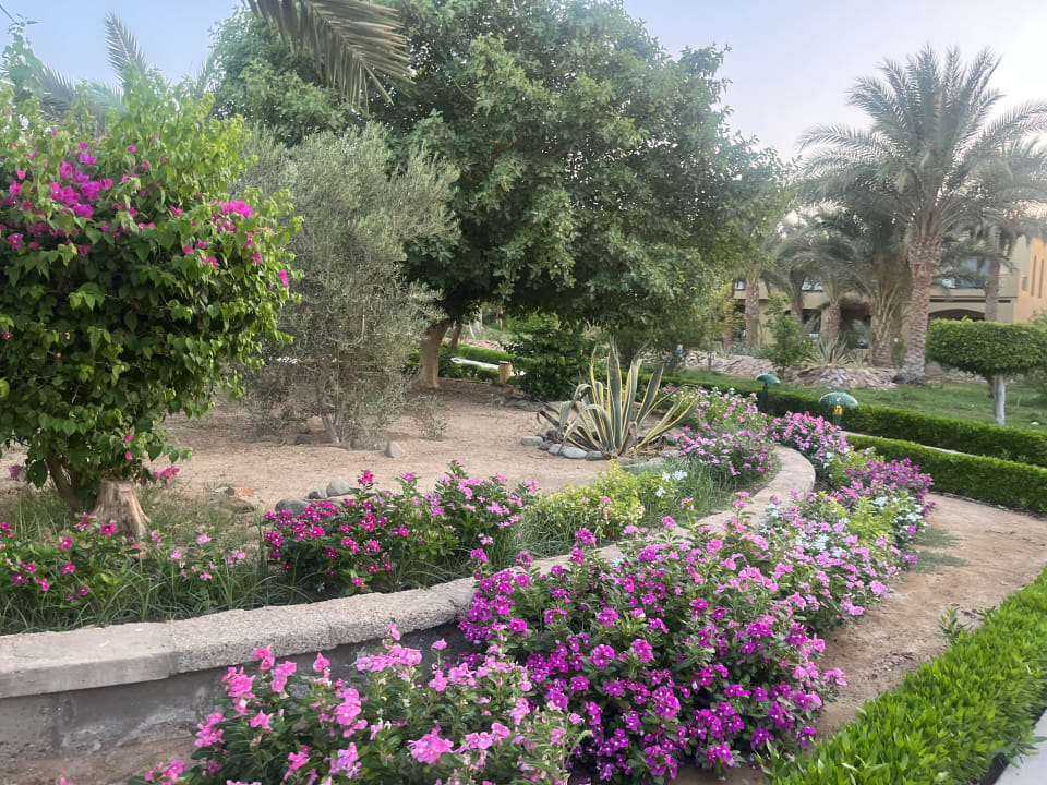 Gartenanlage Three Corners Fayrouz Plaza Beach Resort