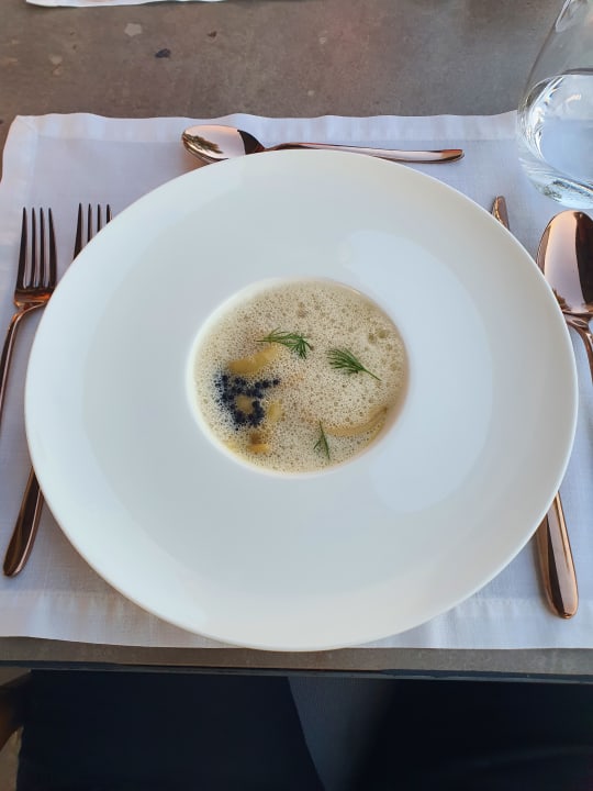 Gastro Paloma Finesse