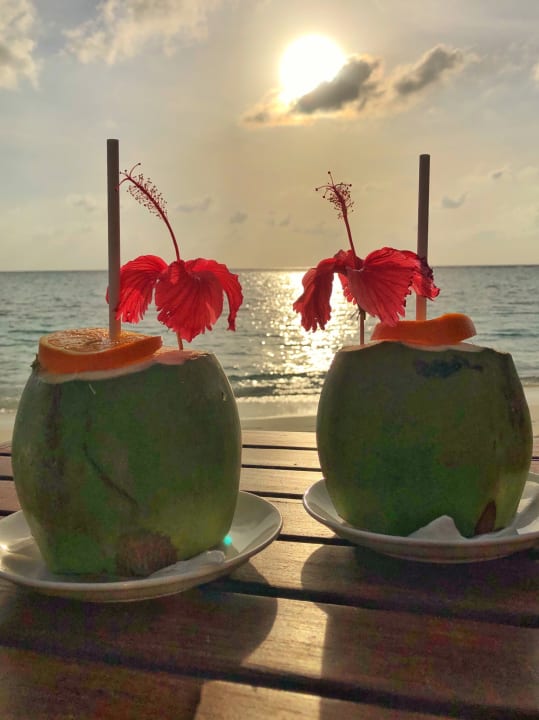 Gastro Summer Island Maldives