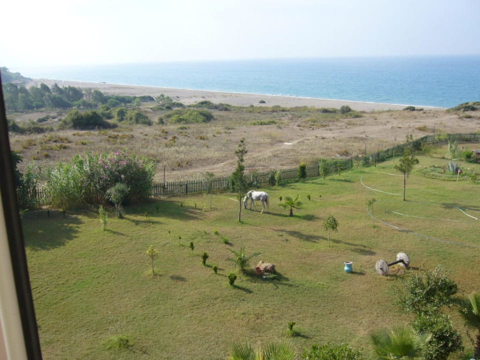 Sun Flipper Hotel Club Life Kizilot