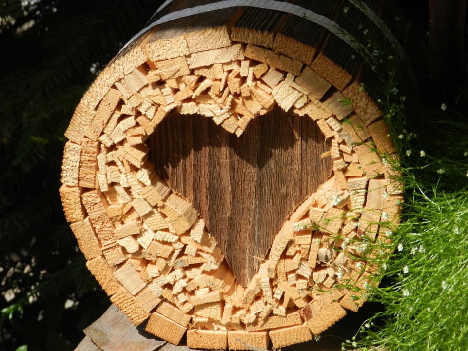 Außenansicht Hotel Pension Wilma