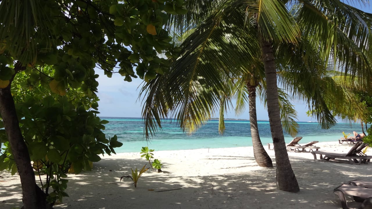 Traumhafter Strand Kuredu Island Resort & Spa