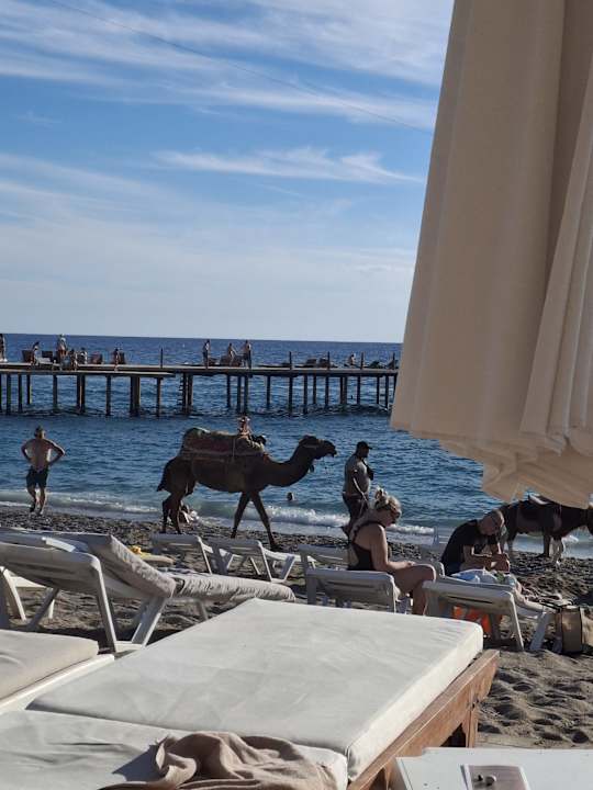 Strand Selectum Family Comfort Side