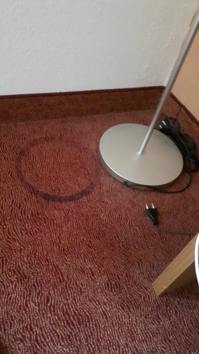 Zimmer Best Western Hotel Braunschweig Seminarius