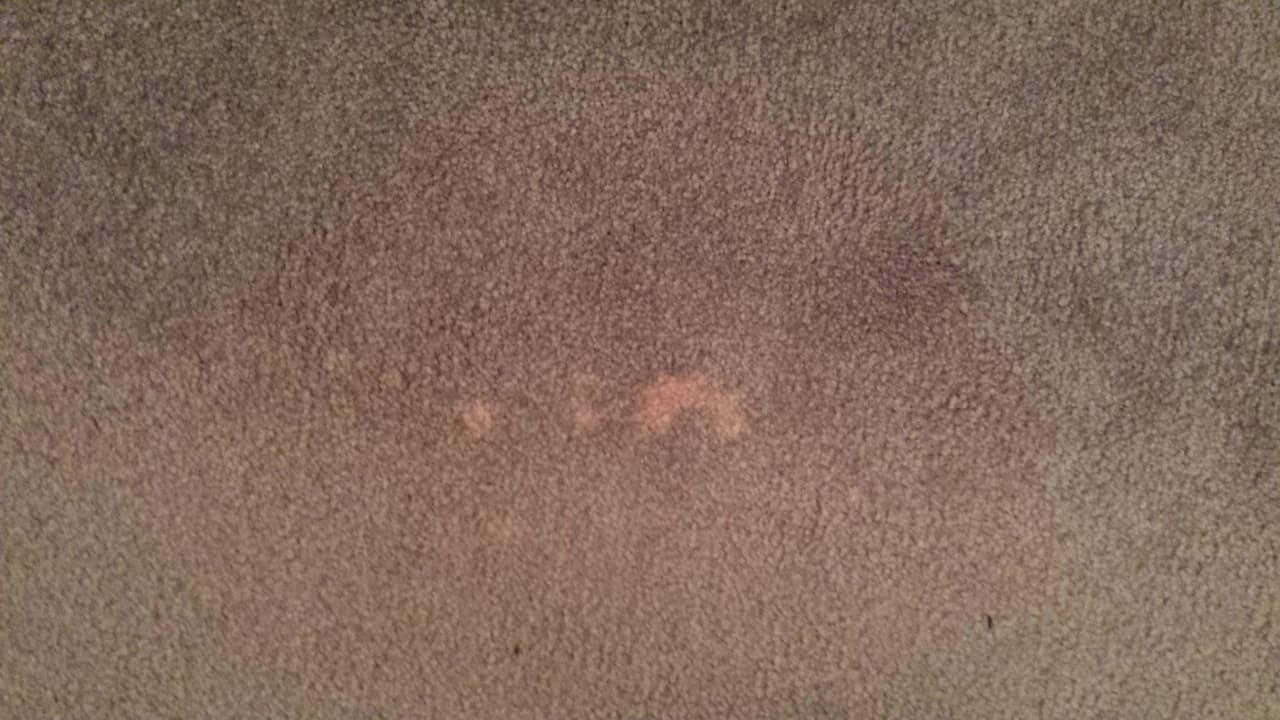 Teppich total verdreckt Ozadi Altura Beach Resort