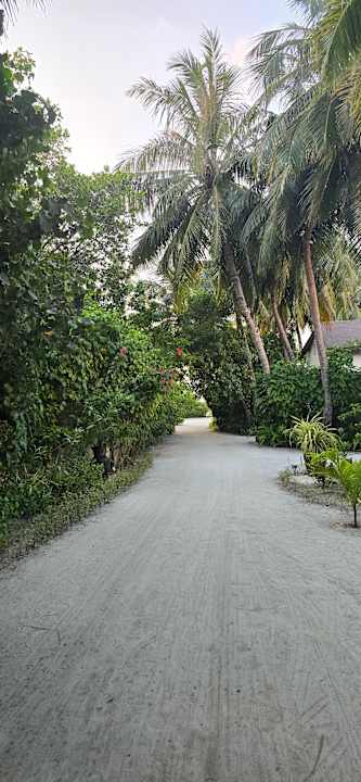 Gartenanlage Machchafushi Island Resort & Spa Maldives, The Centara Collection