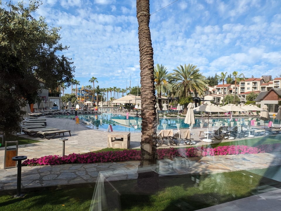 Pool Arum Barut Collection