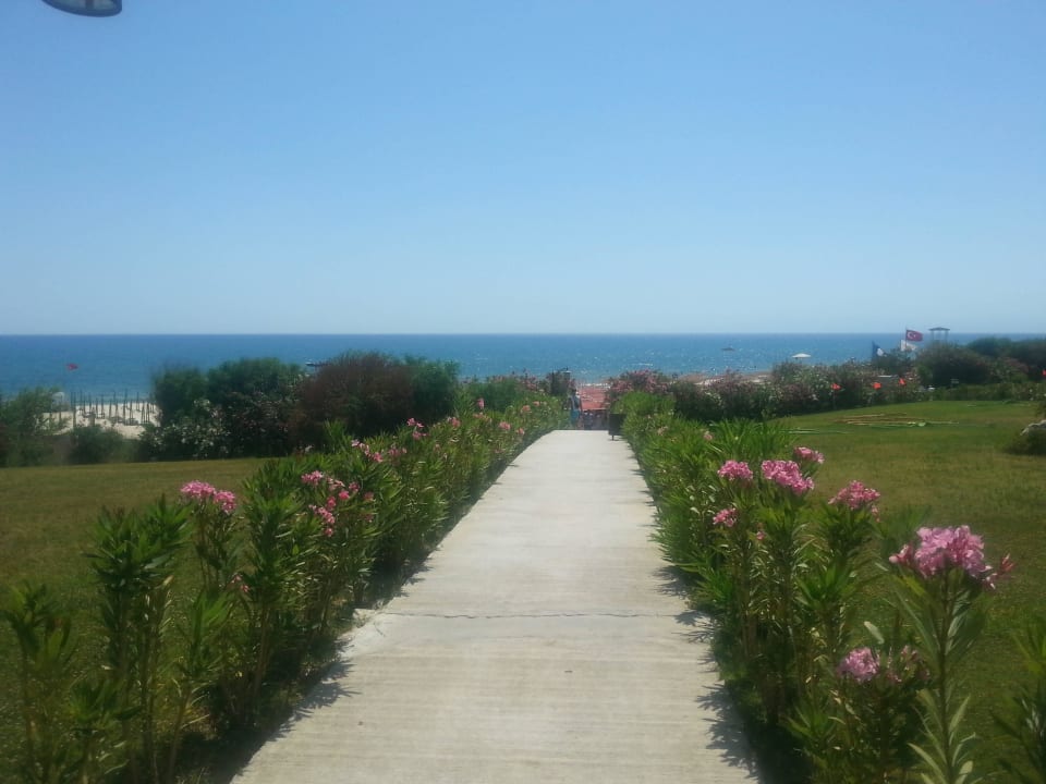 Weg zum Strand Alba Queen Hotel