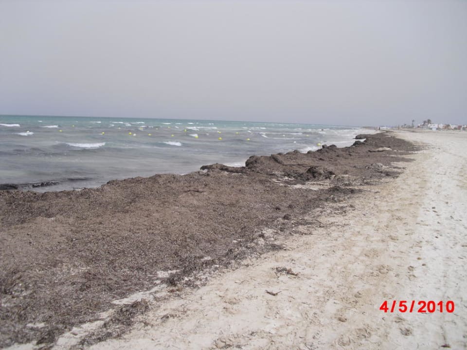 Strand & Meer vor dem Hotel Calimera Yati Beach