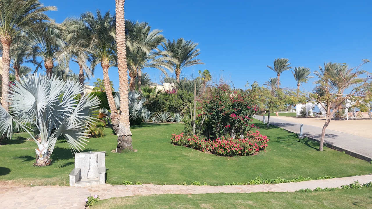 Gartenanlage Steigenberger Coraya Beach - Adults only