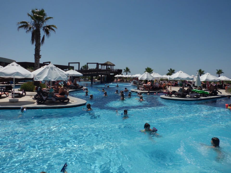 31 Sherwood Dreams Resort