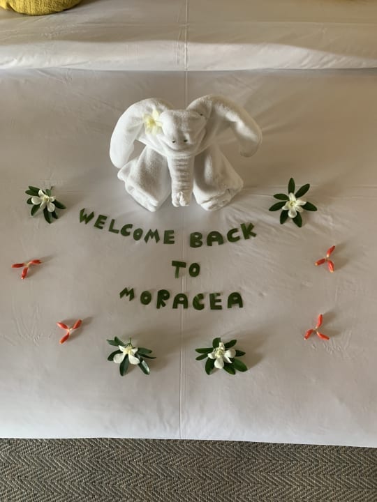 Zimmer Moracea by Khao Lak Resort