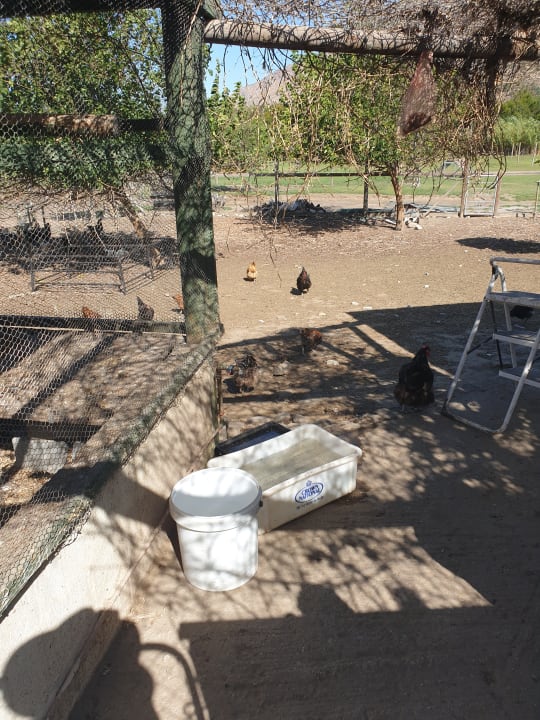 Gartenanlage Guesthouse Kogman & Keisie