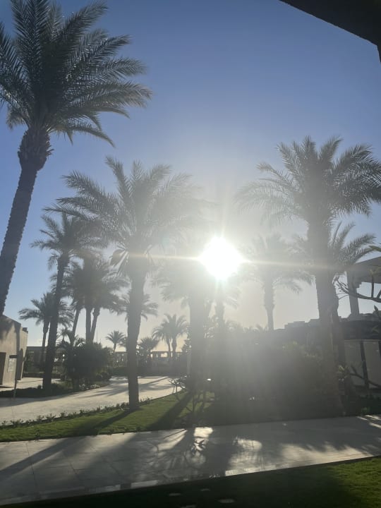 Gartenanlage JAZ Elite Casa del Mar Beach