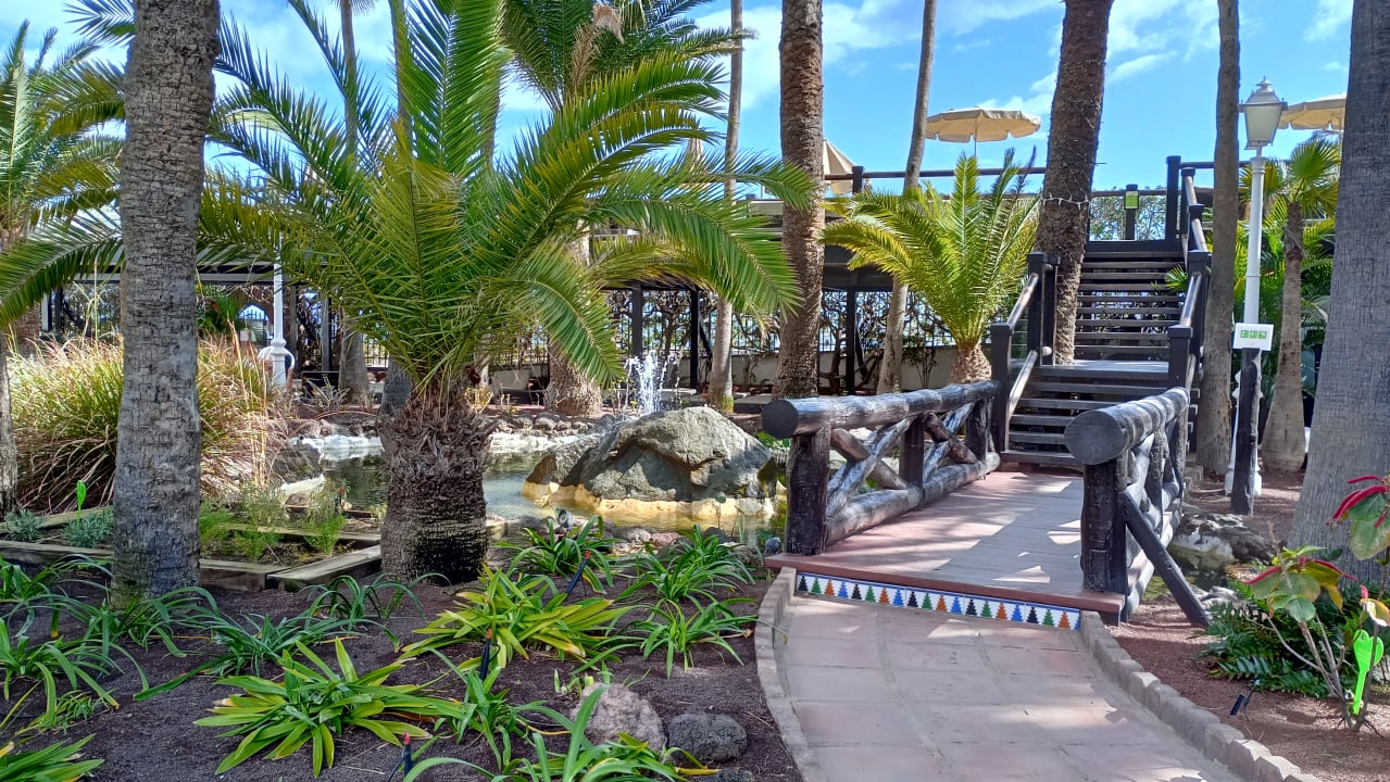 Gartenanlage Hotel Parque Tropical