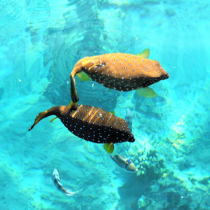 Strand Steigenberger Aqua Magic