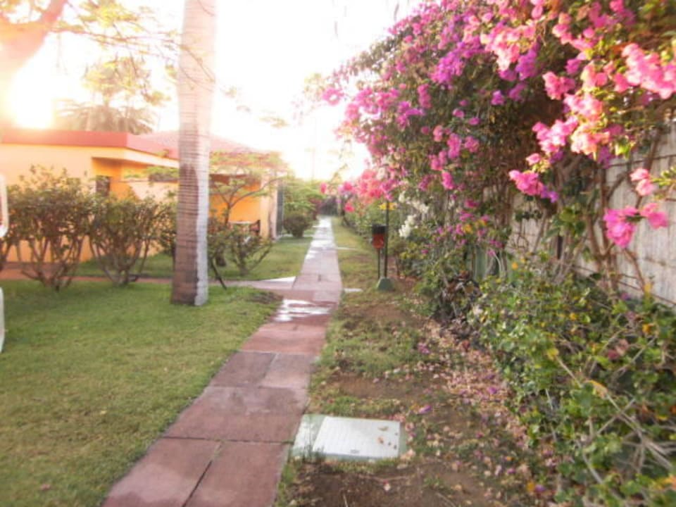 Wege Artemisa Gay Bungalows