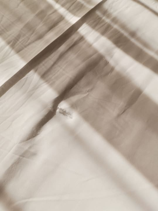 Zimmer Well Palace Side