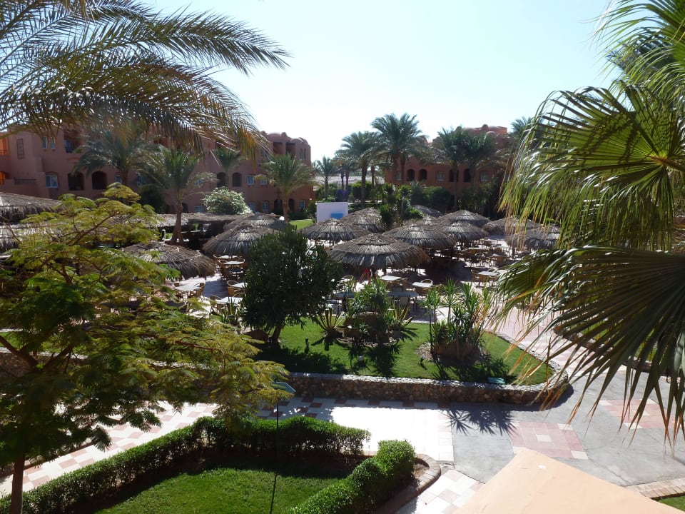 Gartenanlage                                       Jaz Makadi Oasis Resort