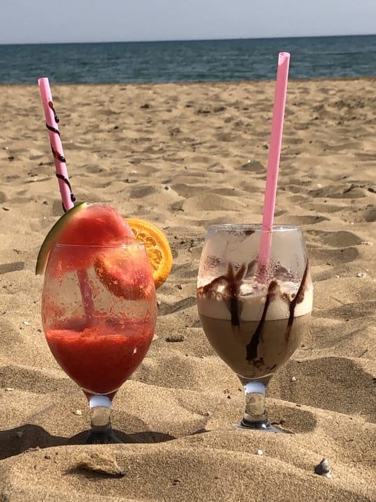 Strand Seashell Vega