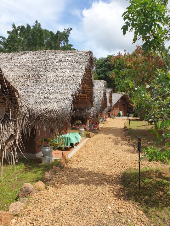 Gartenanlage Gaga Bees Yala Hotel