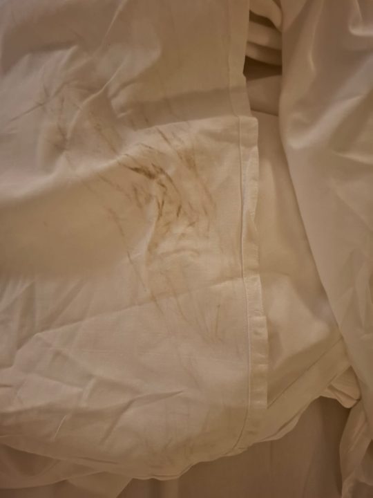 Zimmer SBH Costa Calma Beach Resort