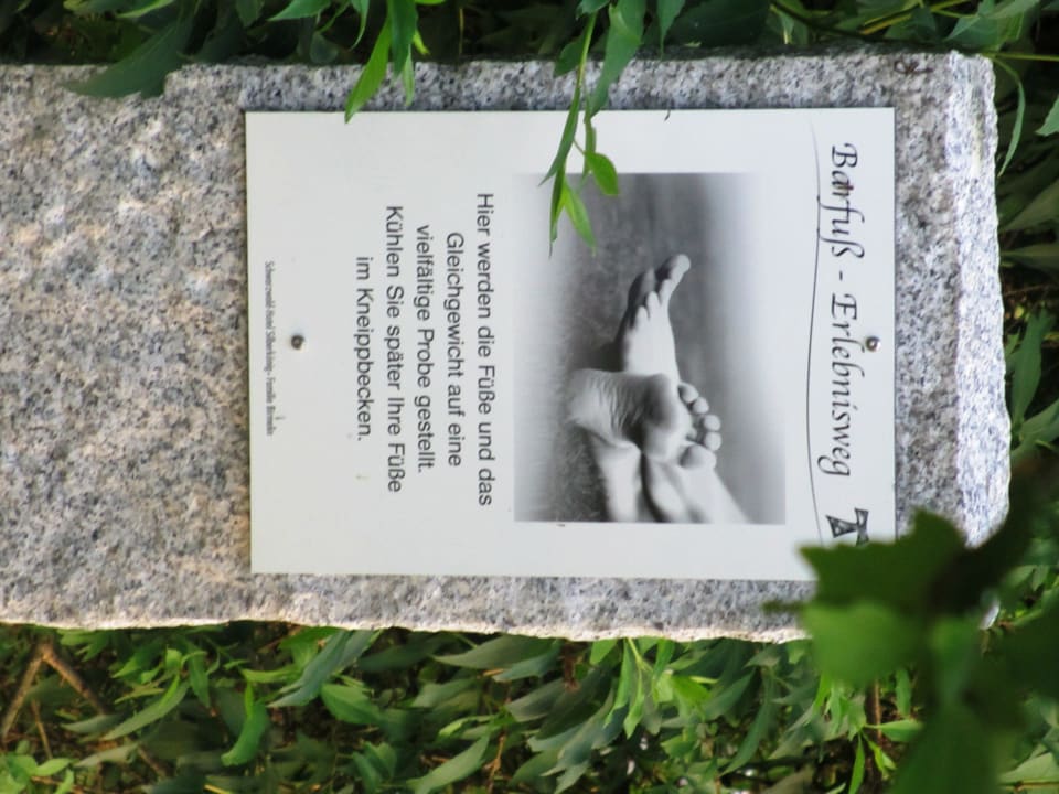 Sinnespfad mit Baumpfad Silberkönig Schwarzwald Hotel & Restaurant Ringhotel